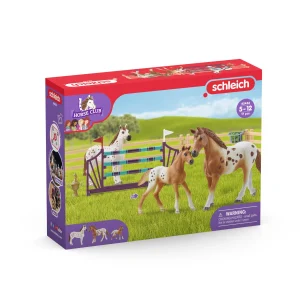 SCHLEICH Toernooi trainingsset (42433)